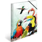 Herma Sammelmappe A4 Motiv