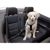 Kerbl Vehicle Harness Schwarz 70-90 cm