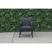 CLEMENTO Lyon Dining Sessel vier fuß Aluminium/Sunbrella