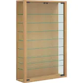 VCM Sammel Wandvitrine