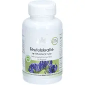 WARNKE Teufelskralle MIT Weidenrinde Kapseln 120 St