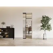Vente-unique Versenkbare Schiebetür - Aluminium und mattiertes gehärtetes Glas - H 205 x B 73 cm - LINCI II