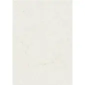 Zanders Elefanthud Office 88001576 DIN A4 110 g/m² 100 Blad Hvid
