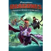 DreamWorks Dragons Dawn of New Riders