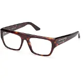 GCDS Unisex GD5045 052 Rahmen von BRILLEN Acetat Havanna Quadratisch Normal
