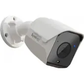 Synology BC500, IP-Sicherheitskamera, Innen & Außen, Kabelgebunden, RCM, JATE, Wand, Schwarz, Weiß