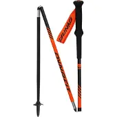Dynafit Alpine Stöcke