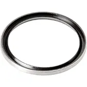 Dt Swiss Rotor Dichtring