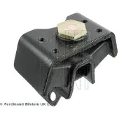 Blue Print Motorlager Gummimetalllager Hinten für TOYOTA HILUX III Pick-up (TGN1, GGN2, GGN1, KUN2, KUN1) ADBP800120
