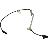 KAVO PARTS Sensor, Raddrehzahl BAS-8042