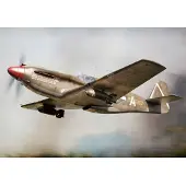 Brengun A-36 Apache USAF