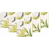 Villeroy & Boch Frühstücksteller "Frühstücksteller Amazonia 23 x 23 cm 6er Set bunt"