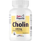 Zein Pharma - Germany GmbH Cholin Kapseln hoch bioverfügbare Cholin Bitartrate 60 St
