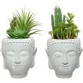 Décoris Sukkulenten künstlich im Buddha Steingut Topf 23cm 1 Stück sortiert