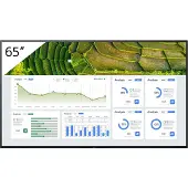 Sony FW-65BZ30L, Digital Signage Flachbildschirm, 165,1 cm (65"), LCD, 3840 x 2160 Pixel, WLAN, 24/7