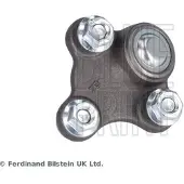 Blue Print Trag-/Führungsgelenk ADBP860167