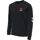 Hummel Sweatshirt hmlLGC graham