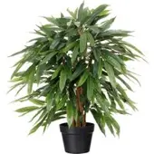 Pflanzen-Kölle Kunstpflanze Weeping-Ficus, Höhe ca. 80 cm