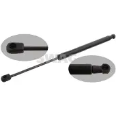 SWAG Gasfeder, Koffer-/Laderaum [Hersteller-Nr. 30931641] für VW