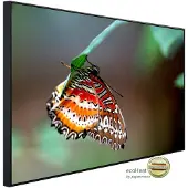 Papermoon Infrarotheizung »EcoHeat - Schmetterling«, Matt-Effekt - bunt