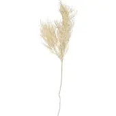 PT Living Asparagus Fern Stem