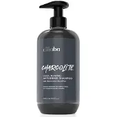 Difiaba Charcolite Cool Toning Anti-Messing Shampoo