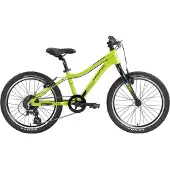 Genesis Kinder Mountainbike Evolution JR20 Lite