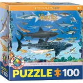 Eurographics Sharks 100 Pieces Eurographics Kids 5+