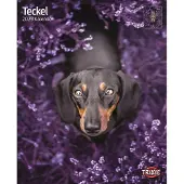 Trixie Baby Kalender Teckel