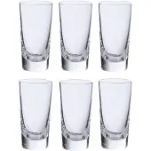 Spiegelau Schnapsglas 55 ml (6-teilig)