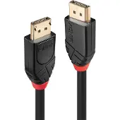 Lindy 901399560 10 M Displayport-kabel