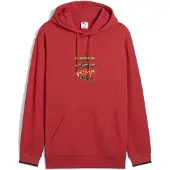 Puma Road To Unity Graphic Kapuzenpullover Rot XS Mann Rot XS