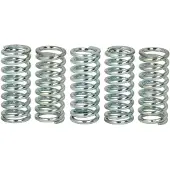 TRW Lucas Kupplungsfedern MEF129-5 1050 Speed Triple ZZR 1200 CBR 600 F