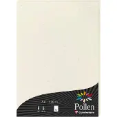 Pollen Papier