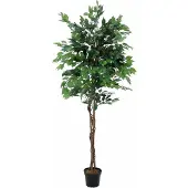 Europalms Ficus-Benjamini Multi-Stamm, Kunstpflanze, 210cm