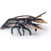 Papo Lobster, Mehrfarbig, 1 Stück(e)
