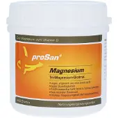 Prosan Pharmazeutische Vertriebs GmbH proSan Magnesium 250 g