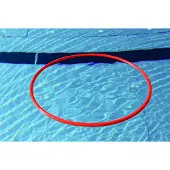Sport-Thieme Schwimm- und Tauchreifen