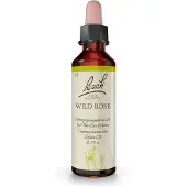 Bach Bachblüten Wild Rose Tropfen 20 ml