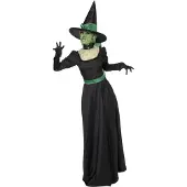 Smiffys Böse Hexe - Wicked Witch