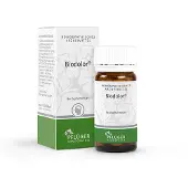 Homöopathisches Laboratorium Alexander Pflüger GmbH & Co. KG Biodolor Tabletten 100 St
