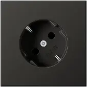 JUNG Steckdose 1f anth mt LS UP IP20 ZP AL2520-45AN