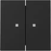 Gira 3631005 Wippe 2f Kontrollf. System 55 Schwarz m