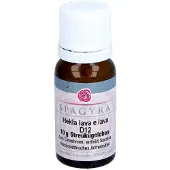 Spagyra Hekla lava e D 12 Globuli 10 g