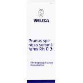 Weleda PRUNUS SPINOSA SUMMITATES Rh D 3 Dilution 20 ml Dilution