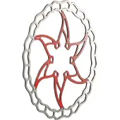 Ashima ARO-09 Ai2 Bremsscheibe 6-Loch rot/silber 180mm 2021 Teile
