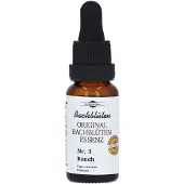 MCM KLOSTERFRAU Vertr. GmbH Bachblüten Murnauer Beech Tropfen 20 ml