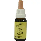 Murnauer Markenvertrieb MURNAUERS Bachblüten Original Bachblüten Essenz Nr. 33 Walnut Tropfen, 20 ml Lösung