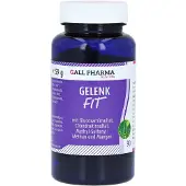 Hecht-Pharma Gmbh Gelenk-fit GPH Kapseln 90 St
