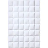 Kaufmann Daunendecke Österreichische Weidegans 200x200 cm medium